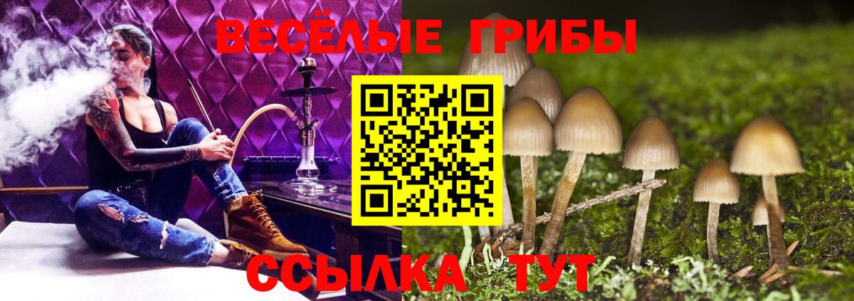 Скопин  Галлюциногенные грибы мицелий  Вход с VPN  Псилоцибиновые грибы прущие грибы 