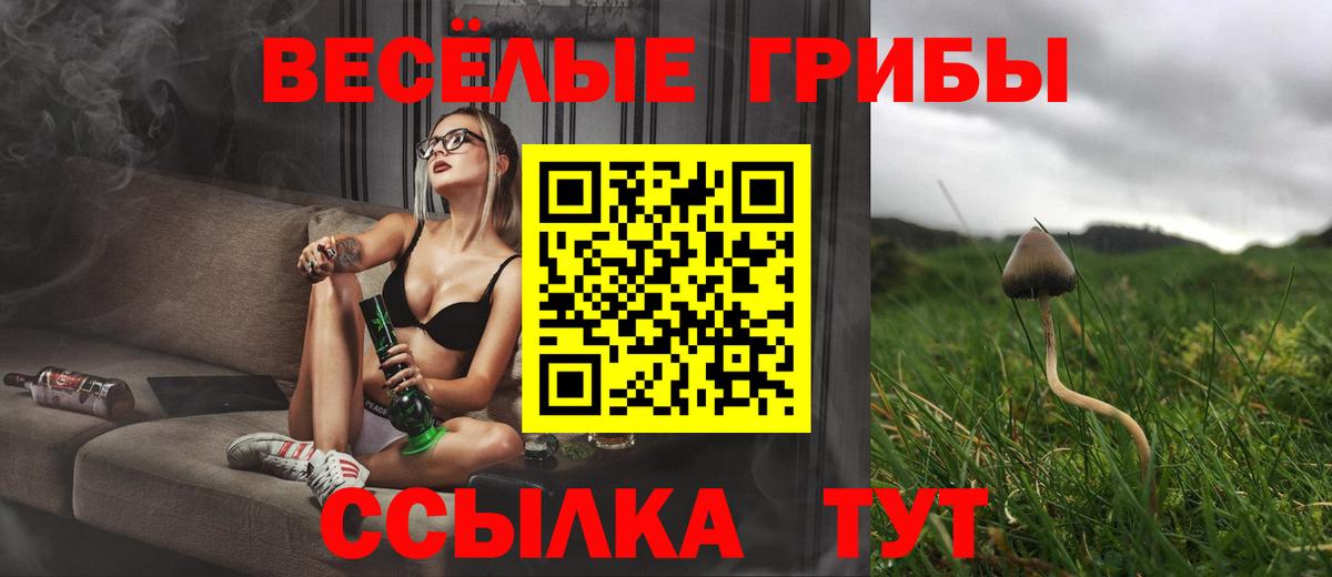 Бошки Шишки Скопин